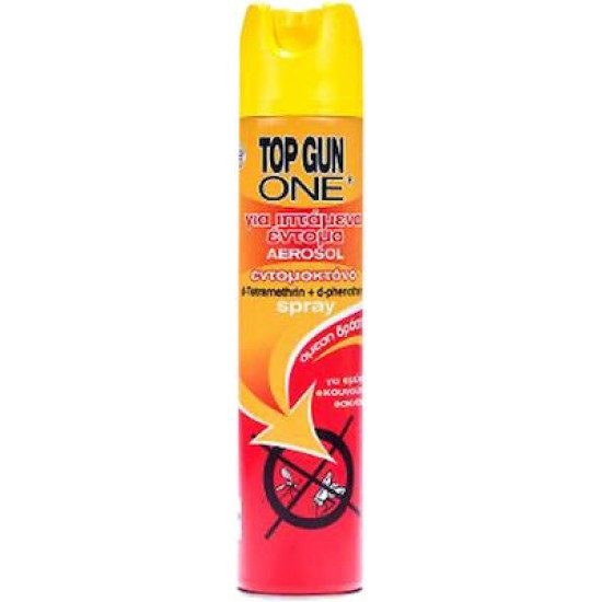 TOP GUN εντομοκρόνο spray 300ml – Εντομοκτόνα και Εντομοαπωθητικά Χώρου