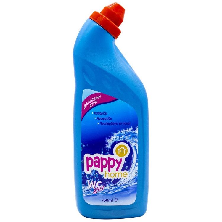 PAPPY HOME υγρό καθαρισμού τουαλέτας θαλάσσια αύρα 750ml – Καθαριστικά Μπάνιου