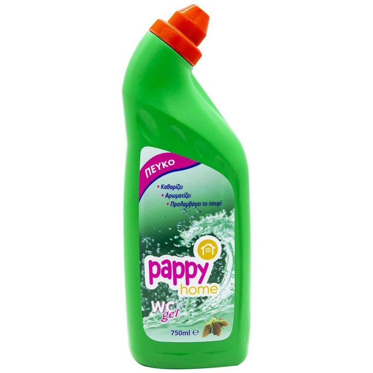 PAPPY HOME υγρό καθαρισμού τουαλέτας πεύκο 750ml – Καθαριστικά Μπάνιου