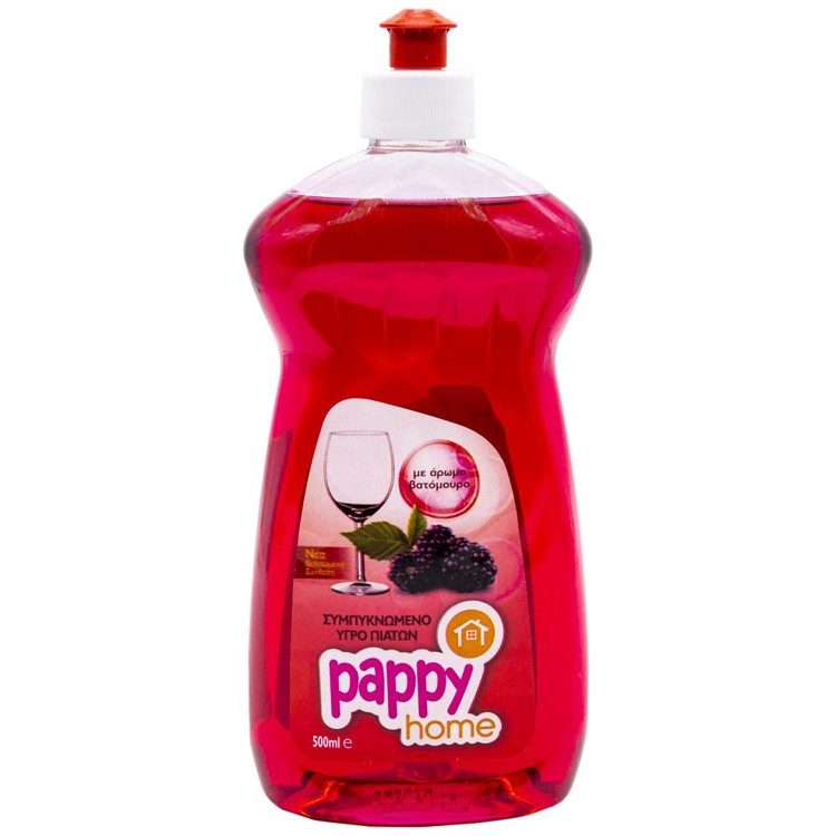 PAPPY HOME υγρό πιάτων βατόμουρο 500ml – Υγρά Πιάτων