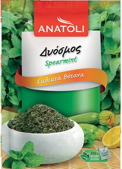 ANATOLI δυόσμος αποξηραμένος 10gr – Ανατολή – Μπαχαρικά και Μυρωδικά