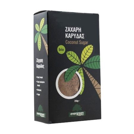 EVERGREEN ORGANICS ζάχαρη καρύδας βιολογικό 250gr – Ζάχαρη και Υποκατάστατα