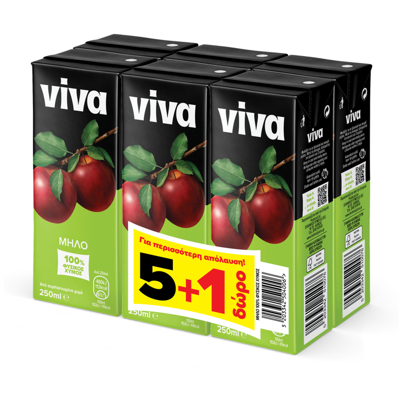 VIVA χυμός 100% φυσικός με μήλο 6x250ml – Χυμοί